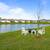 Short Sale.  Almost new 4/2 home in Green Cove Springs 15 thumbnail