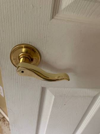Lever privacy brass door Knob 1