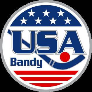 USA Bandy stick 1