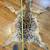 Animal fur Hyena Pelt 4 thumbnail