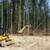 🚦TIMBER WANTED🌲WIND STORM TREE LAND CLEARING ♦WA LOGGING♦FORESTRY NW 3 thumbnail