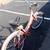 26" SCHWINN GIRL BICYCLE 5-speed 1 thumbnail