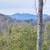 Lot 903, easy build site, gently slopes to a stream! 1 thumbnail