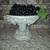 Vintage 8.5" Resin Footed Fruit Bowl W/Artificial Fruit 5 thumbnail