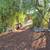 Huge discount for cash buyer 5 + acre horse property with fixer- upper 14 thumbnail