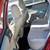 2013 Subaru Forester 2.5X Premium 22 thumbnail