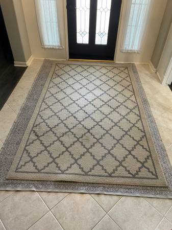 Area rug (5’ x 8’) 1