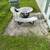 💦🏘️🏠🏚️PRESSURE WASHING SERVICES … FREE QUOTES 14 thumbnail
