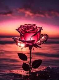 Peaceful Recharge... 1