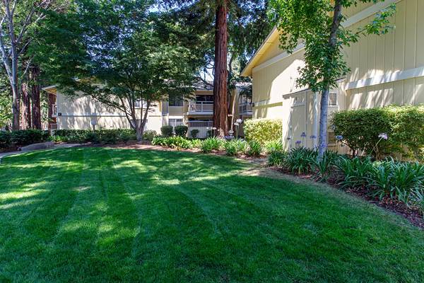 $3,354 / 2br - 863ft2 - Spacious 2x1 Apartment, and W/D in unit available 11/04/25 (sunnyvale)63834323500673121
