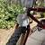 Bicycle for sale 2 thumbnail