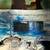 USPS Space Achievement & Exploration Stamp Expo 2000 Poster with Hologram Stamps 5 thumbnail