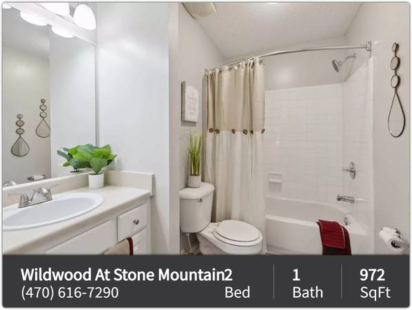 $1,212 / 2br - 972ft2 - Magnificent landscaping at Wildwood At Stone Mountain. 2 BR, 1 BA avai (Stone Mountain - Stone Mountain)63963858503555120