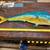 Mounted Mahi Fish 1 thumbnail