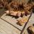 Buff Orpington Laying Hens 2 thumbnail