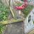 Swing-set 1 thumbnail