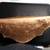 Gold Painted Plaster Sconce 2 thumbnail