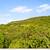 THREE BEDROOM AND THREE BATHROOM CONDO FOR SALE 23 thumbnail