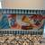 Vintage Lunchbox - Junior Miss, Blue (No Thermos) 3 thumbnail