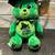$150 Care Bears x Wicked 9” Plush Set of 5 Glinda Elphaba Scarecrow L 5 thumbnail