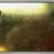 VINTAGE LUCKY STRIKE CIGARETTESFLAT FIFTIES METAL TIN 4 thumbnail