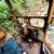 1956 Galion model 450 diesel road grader (near Port Townsend, WA) 7 thumbnail