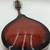 Fender Mandolin FM-100 Model Flawless 6 thumbnail