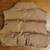 Shein Tan Cropped Sleeveless Puffy Vest - Trendy & Lightweight - Size 2 thumbnail