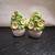 Rustic Daisy salt and pepper shakers 3 thumbnail