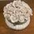 VINTAGE • PINK GLASS VANITY CONTAINER 2 thumbnail
