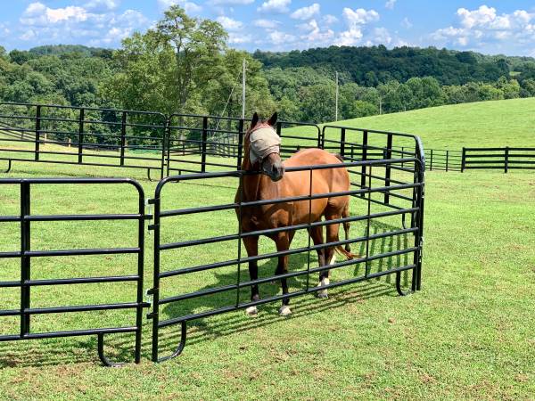 ROUND PEN PANELS /CORRAL PANELS W/EXTRA BRACING FACTORY DIRECT 1