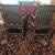 Pair of Solid Hickory Deck Chairs 2 thumbnail