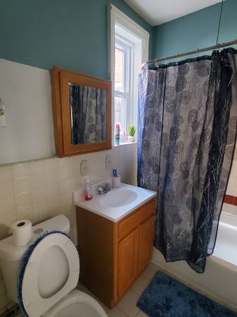 $3,700 / 4br - Renovated Unfurnished Apartment/Tenant Electric and Cooking Gas (Flatbush)63816625129729124