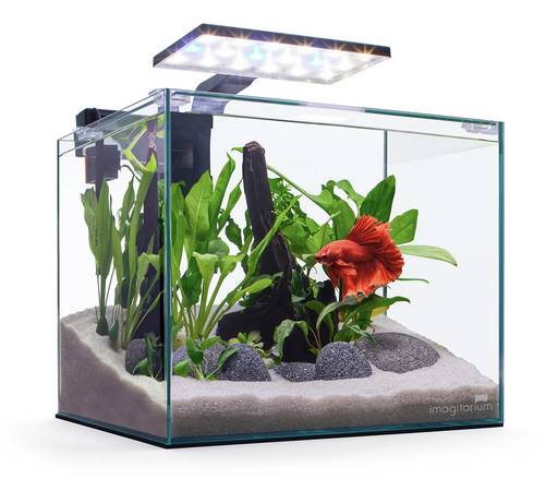 Complete Aquarium Set with plants 1