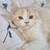 Mouser 3 thumbnail