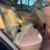 2013 BMW X5 14 thumbnail