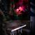 Last Rites Seeking Barback 6 thumbnail