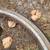 Schwinn 24" Unicycle Vintage? 8 thumbnail