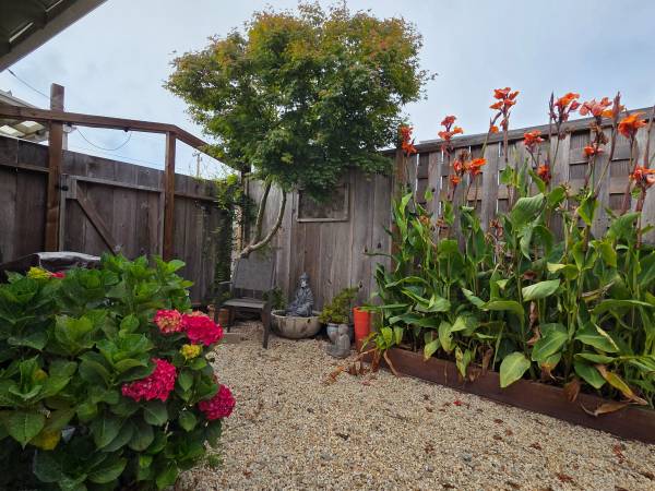 $4,350 / 2br - 1000ft2 - Sunny Cove Sanctuary 2 bedroom/1 bath (santa cruz)63790122295937121