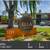 Rent a great 2 bed / 1 bath! 2 thumbnail