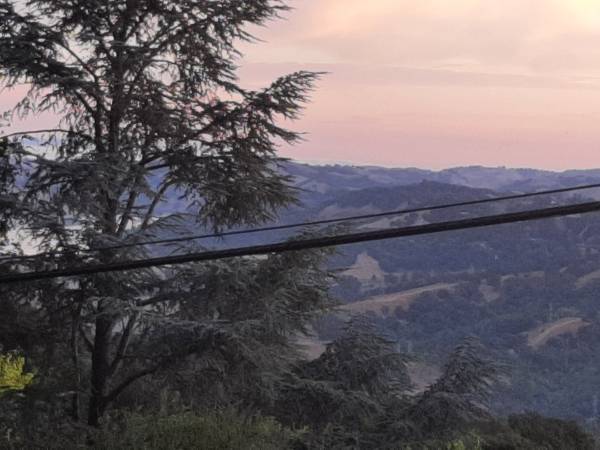 $1,000 Orinda Room for Rent (lafayette / orinda / moraga)64000589844738123