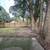 Property title vintage charm 2br 1ba  townhouse in  peaceful. Environm 1 thumbnail