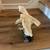 Santini Soaring Eagle Figurine 4 thumbnail