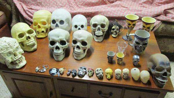 skull collection 1