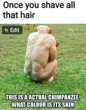 Uncovering the Truth 1