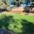 LARGE MASTER SWEET ROOM/ BATH FOR 1-2 ADULTS 11 thumbnail