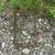 Rebar 10 thumbnail