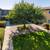 Don't Wait to Experience the Marina Living - Call Us/Apply Today! 11 thumbnail