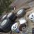 bobinas para motor 6.8 y 4.6 y5.4 duly f450 en 15 dólar micas focos 13 thumbnail