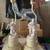 Vintage lamps (set of 2) 1 thumbnail